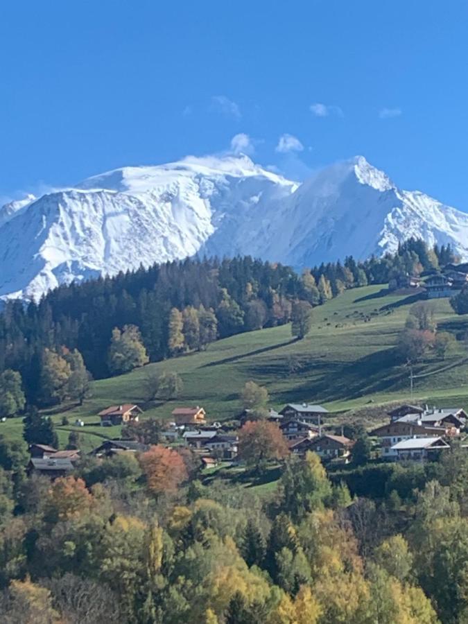 Chalet Mont Blanc 꽁블루 외부 사진